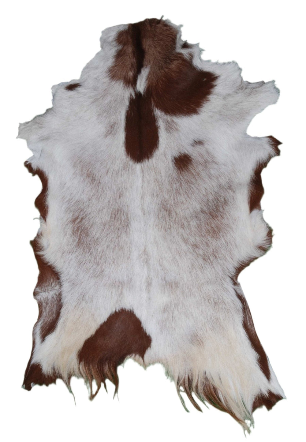 Original Goatskin Hide Brown, Goat Skin Rug, Goatskin Pelt, Home Decor Animal Skin Rug, Bedroom Aesthetic Area Rug, Brown and White Goat Hide Rug, Goat Skin Rug, Animal Skin Rug, Real Hair on Hide, Goal Pelt Rug, Home Decor Rug, Living Room Area Rug, Wall Hanging Rug, Aesthetic Rug, Leather Rug, Decorative Rug, Brown Goatskin Rug, GoatHide Brown White