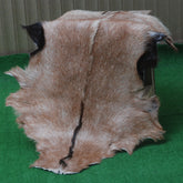 Goat Skin Rug: Tri-Color genuine Goat hide rug