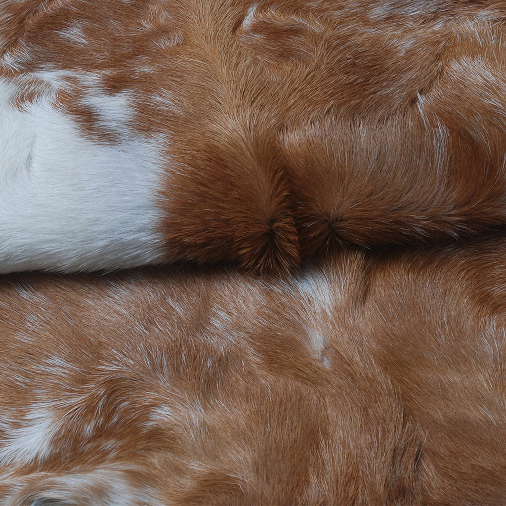 Luxury Brown & White Goat Hide Rug - Premium Hair-On Goat Skin Rug for Home Decor - Accent Pieces - Eco-Friendly and Hypoallergenic Rug - Celestial Leather Limited