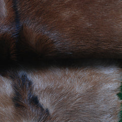 Authentic Dark Brown Goat Hide Rug - Unique Pattern for Modern and Classic Décor - Celestial Leather Limited