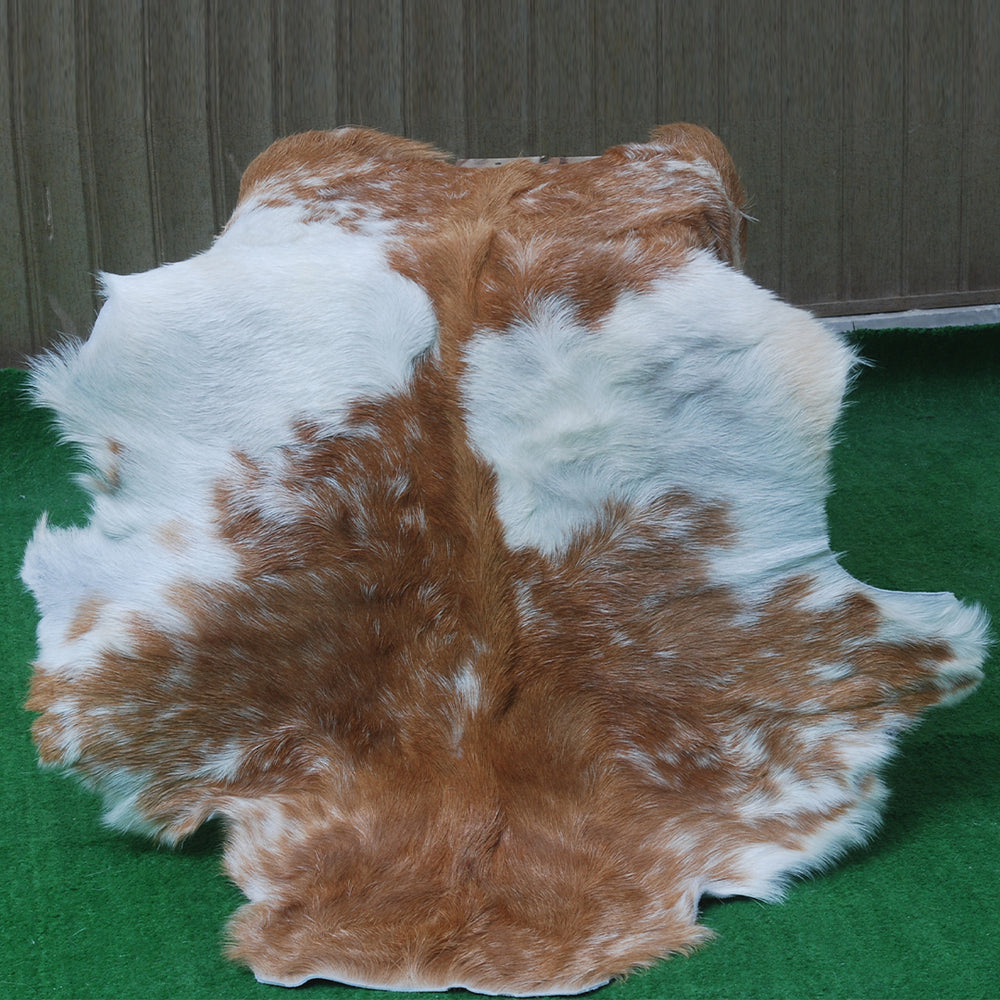 Luxury Brown & White Goat Hide Rug - Premium Hair-On Goat Skin Rug for Home Decor - Accent Pieces - Eco-Friendly and Hypoallergenic Rug - Celestial Leather Limited