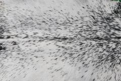 Stylish Black & White Goat Skin Rug - Modern Décor Floor Accent - Hypoallergenic - Eco-Friendly - Unique Statement Piece