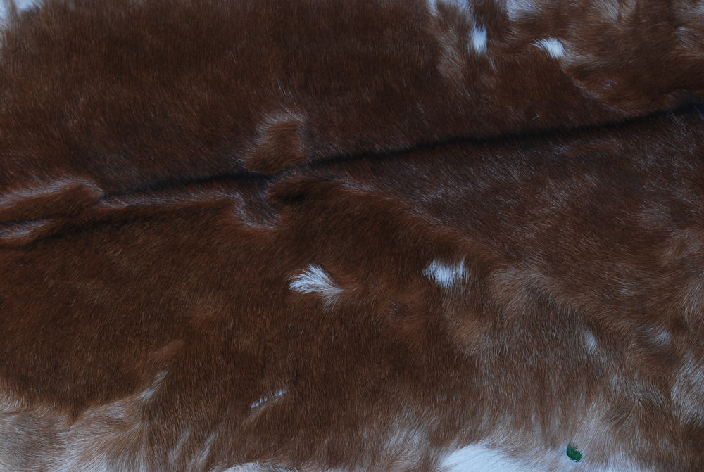 Authentic Dark Brown Goat Hide Rug - Unique Pattern for Modern and Classic Décor - Celestial Leather Limited