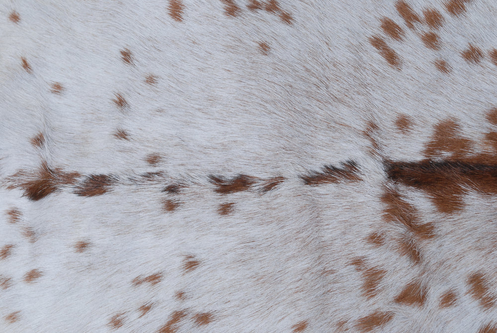 Luxurious Brown and White Goat Hide Rug - Hypoallergenic, Non-Shedding, Eco-Friendly Rug with Non-Slip Backing for Stylish Home Décor - Celestial Leather Limited