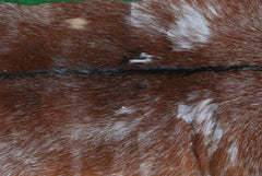 Luxury Brown & White Goat Hide Rug | Handcrafted Premium Goat Skin Rug | Eco-Friendly - Sustainable | Hypoallergenic - Non-Shedding - Celestial Leather Limited