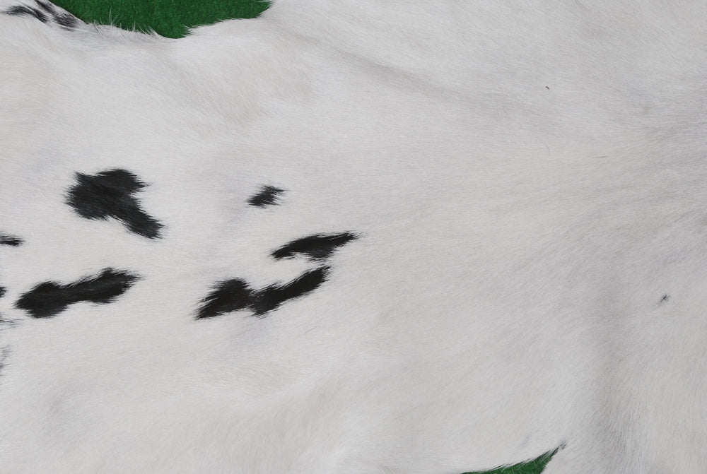 Luxurious Natural Brown & White Goat Skin Rug - Modern Sophistication for Home Decor - Celestial Leather Limited