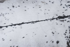 Black and White Handmade Goat Skin Rug – Rustic Charm for Your Home