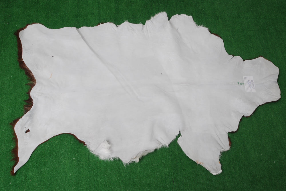 Luxurious Dark Brown & White Goat Skin Rug - Handmade Pure Goat Skin Floor Rugs for Stunning Natural Beauty & Eco-Friendly Charm - Celestial Leather Limited