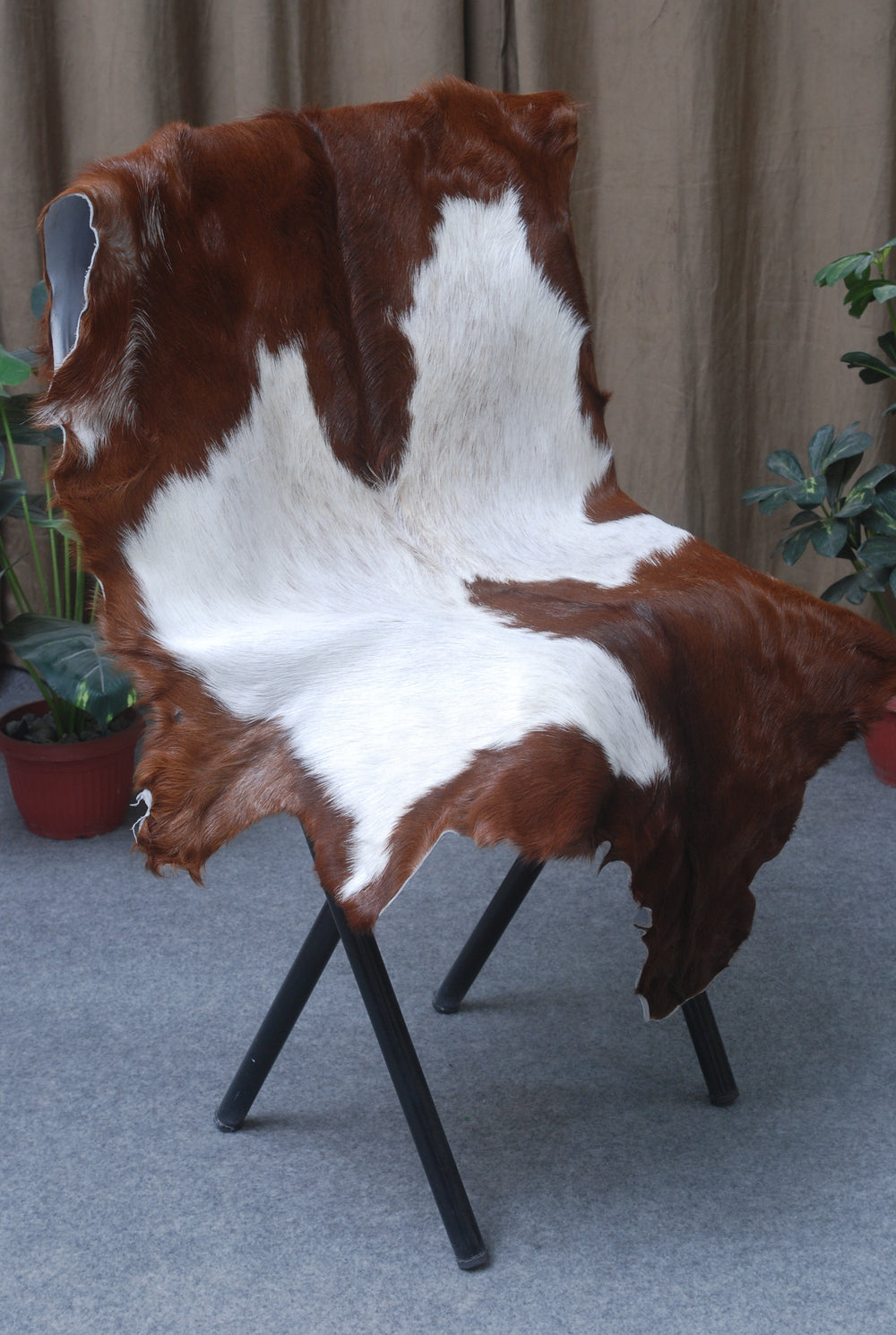 Luxury Brown & White Goat Hide Rug - Premium Hair-On Goat Skin Rug for Warmth - Elegance - Handcrafted - Sustainable Decor Piece - Celestial Leather Limited