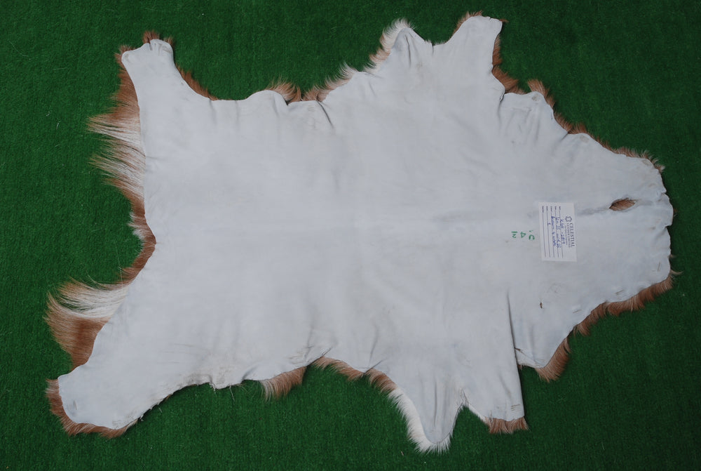 Luxurious Brown and White Goat Hide Rug - Premium Hair-on Goat Skin Rug - Handcrafted Elegance for Your Home - Eco-Friendly and Stylish - Celestial Leather Limited