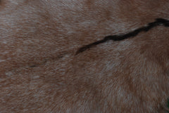 Goat Skin Rug: Tri-Color genuine Goat hide rug