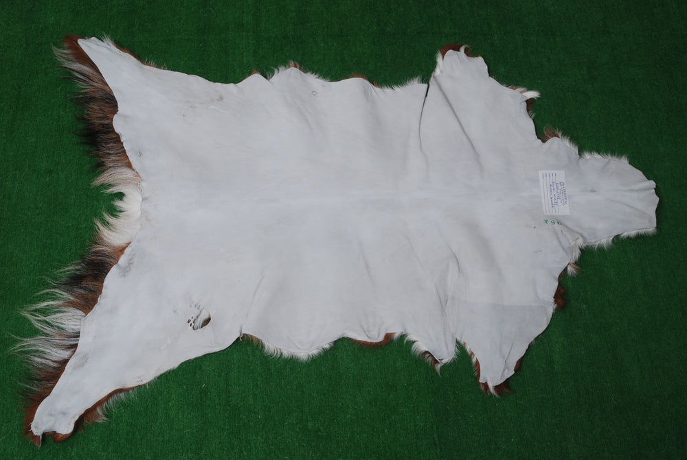 Luxurious Brown and White Goat Hide Rug | Handcrafted Premium Goatskin Rug - Sustainable, Eco-friendly, Hypoallergenic, Non-slip Suede Back - Celestial Leather Limited