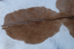 Luxury Brown & White Goat Skin Rug - Handmade 100% Pure Goat Skin - Soft, Non-Shedding, Sustainable & Unique - Eco-Friendly Floor Rug - Celestial Leather Limited