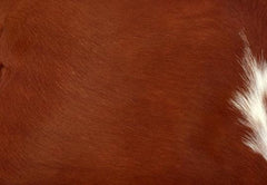 Add a Touch of Rustic Charm with Genuine Cowhide Cushion Covers - Eco-Friendly Leather Home Decor - Stylish Exotic Animal Skin Cushion