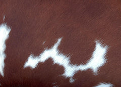 Rustic Eco-Friendly Genuine Leather Cowhide Cushion Cover, Brown & White Hair-on Leather Animal Skin Cushion Cover for Home Decor