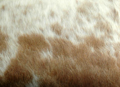 Rustic Genuine Leather Cushion Cover with Hidden Zipper - Multicolour Cowhide Home Decor - Eco-Friendly Exotic Leather Accent Piece