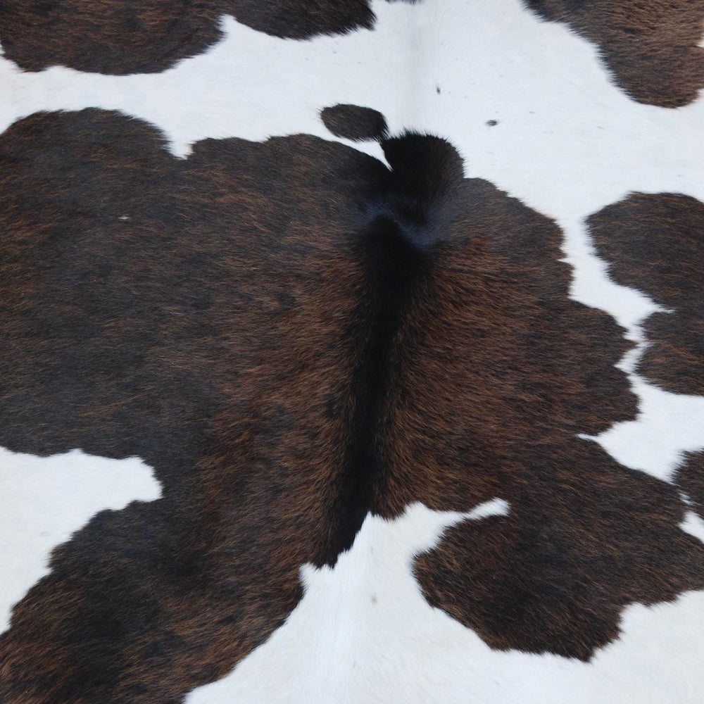 Luxurious Dark Brown & White Cowhide Rug | Medium Size for Modern Home Decor - Warmth | Hypoallergenic - Durable | Handcrafted Natural Hide - Celestial Leather Limited