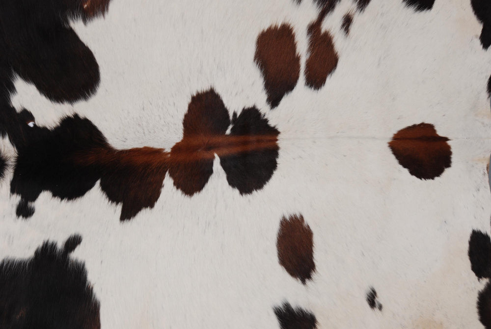 Luxurious Small Brown and White Cowhide Rug - Handcrafted, Soft Hair, Hypoallergenic, Non-Shedding, Non-Slippery Suede Back - Free Shipping! - Celestial Leather Limited
