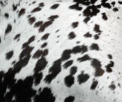 Handmade Genuine Leather Cowhide Cushion Cover Home Decor Accent Exotic Animal Skin Rustic Decorative Pillow