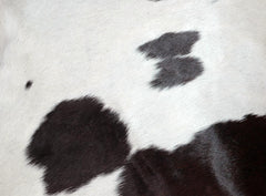 Luxurious Genuine Leather Cowhide Cushion Cover with Hair-on Detail for Stylish Home Decor - Black & White Animal Skin Design