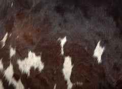 Luxury Cowhide Cushion Cover - Genuine Leather Exotic Home Decor - Eco-Friendly Hairy Cushion Cover - Stylish Rustic Design