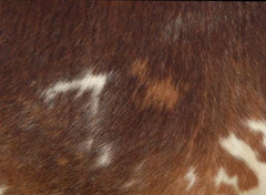 Rustic Genuine Leather Cowhide Cushion Cover - Eco-Friendly Home Decor Accent with Exotic Animal Skin - Stylish and Durable Home Accessories - Celestial Leather Limited