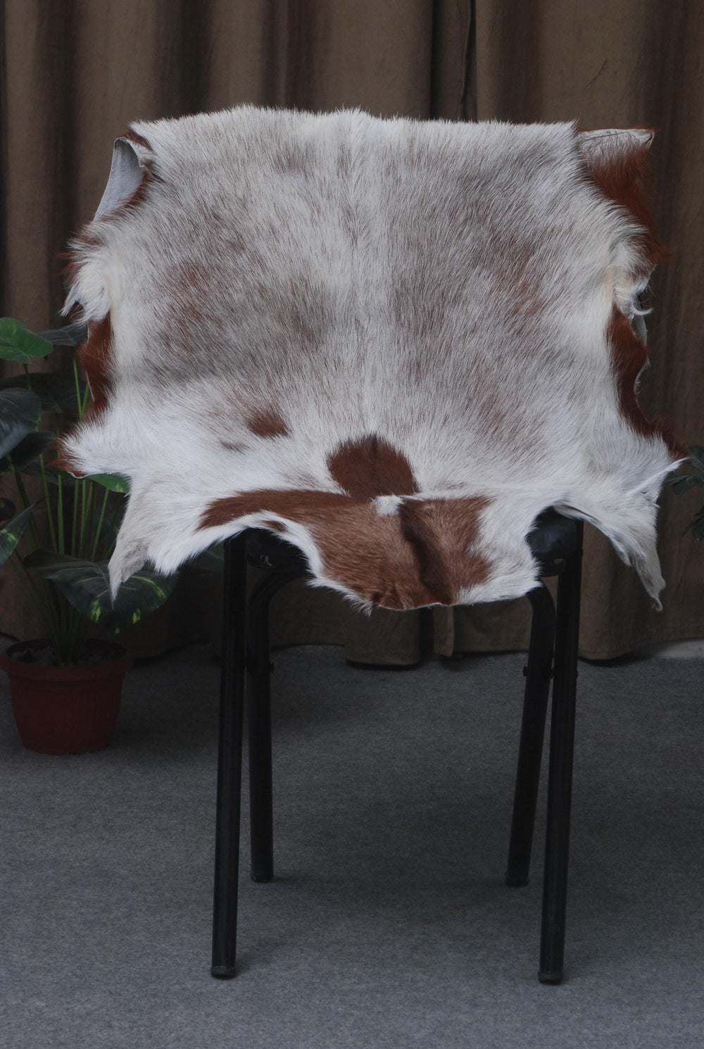 Original Goatskin Hide Brown, Goat Skin Rug, Goatskin Pelt, Home Decor Animal Skin Rug, Bedroom Aesthetic Area Rug, Brown and White Goat Hide Rug, Goat Skin Rug, Animal Skin Rug, Real Hair on Hide, Goal Pelt Rug, Home Decor Rug, Living Room Area Rug, Wall Hanging Rug, Aesthetic Rug, Leather Rug, Decorative Rug, Brown Goatskin Rug, GoatHide Brown White