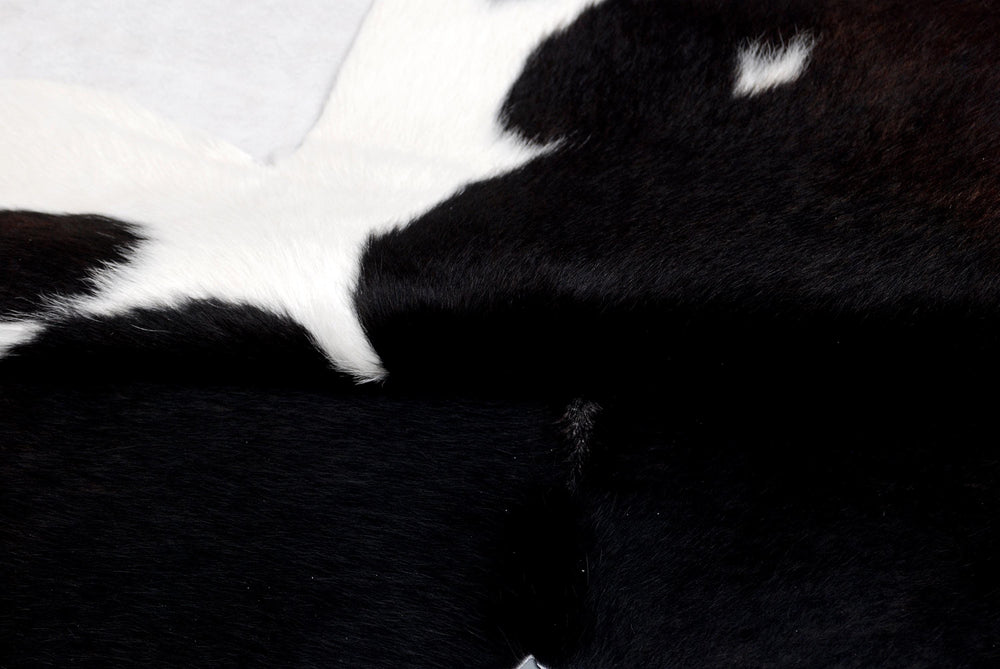 Handcrafted Multicolour Cowhide Rug | Hypoallergenic Small Area Rug with Animal Print | Non-Shedding, Non-Slippery Suede Back | Free - Celestial Leather Limited