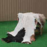 Luxury Multicolour Goat Skin Rug Handmade from 100% Pure Goat Skin | Soft, Durable, Hypoallergenic, Eco-Friendly | Unique Colour Variations, - Celestial Leather Limited
