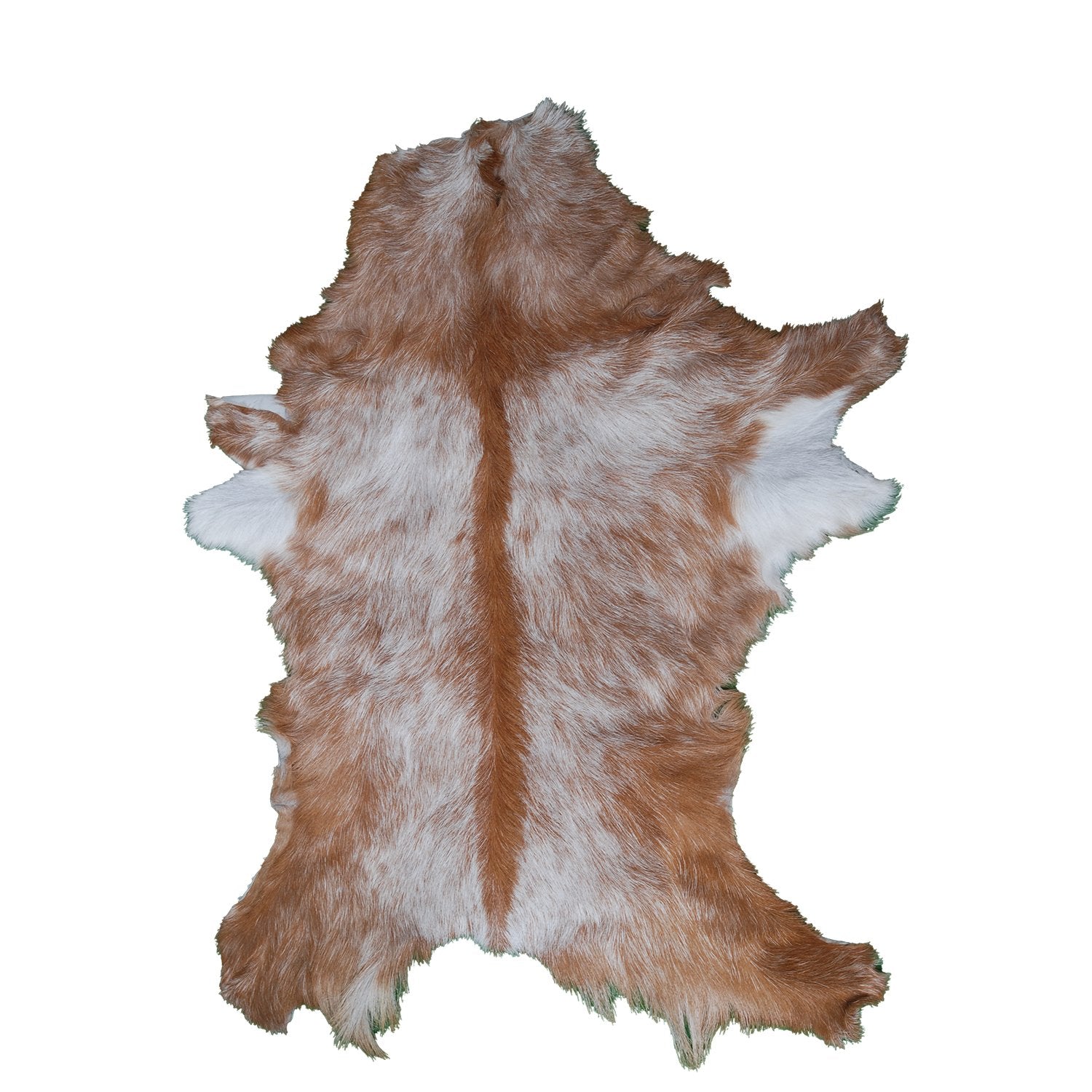 Luxurious Brown and White Goat Hide Rug - Premium Hair-on Goat Skin Rug - Handcrafted Elegance for Your Home - Eco-Friendly and Stylish - Celestial Leather Limited