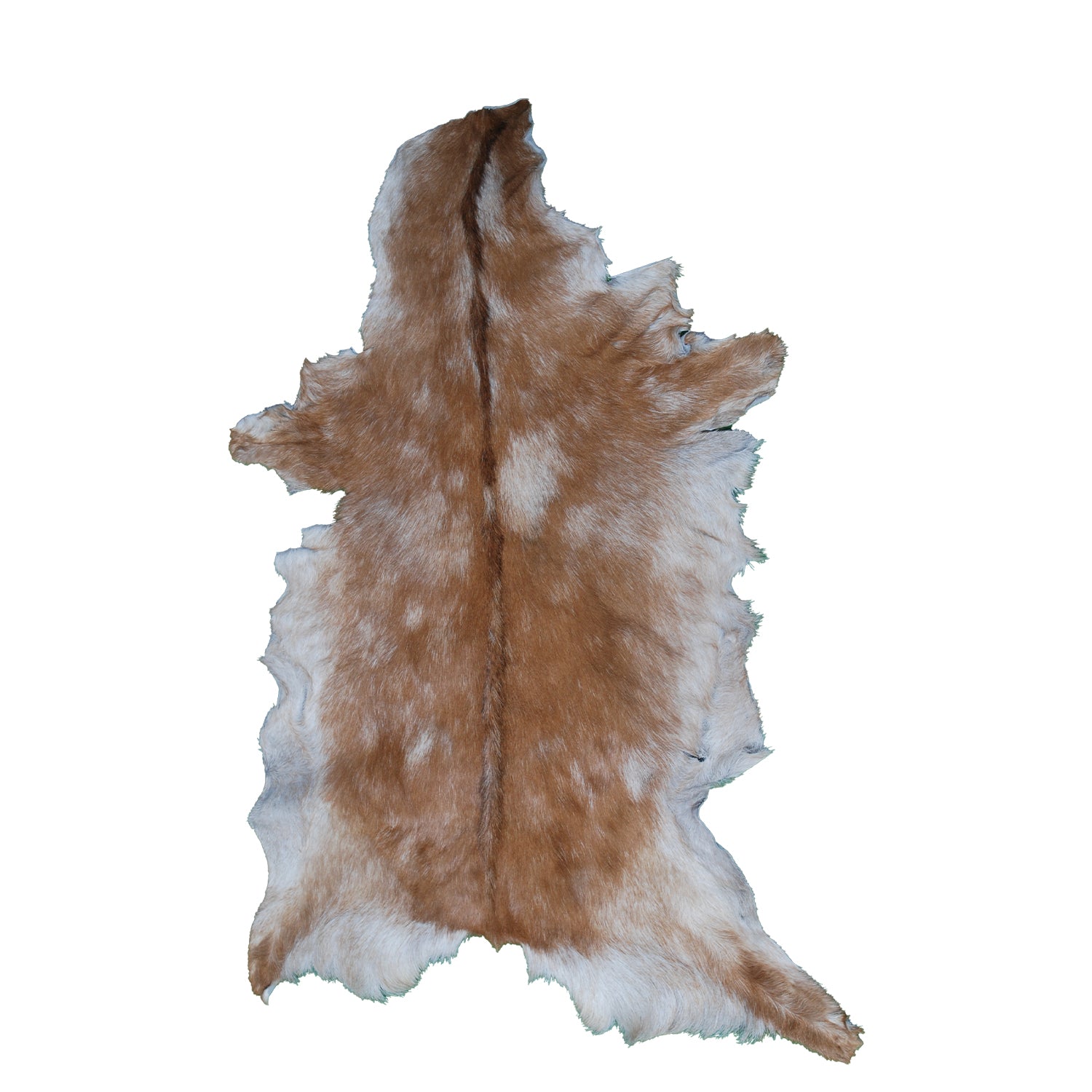 Brown and White Handmade Goat Skin Rug – Classic Elegance for Your Home