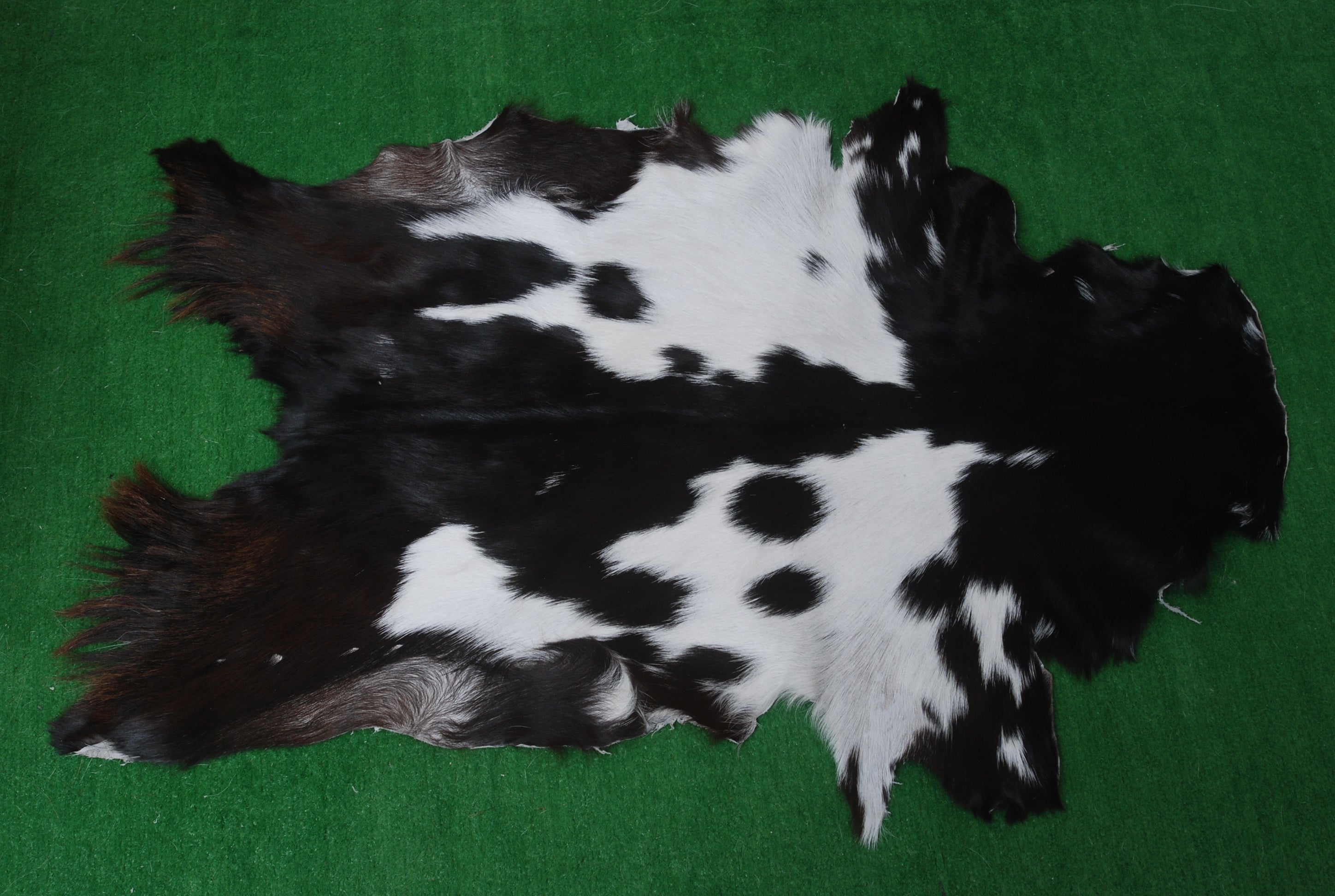 Natural Black and White Goat Hide Rug - Luxurious and Stylish Floor Accent - Celestial Leather Limited