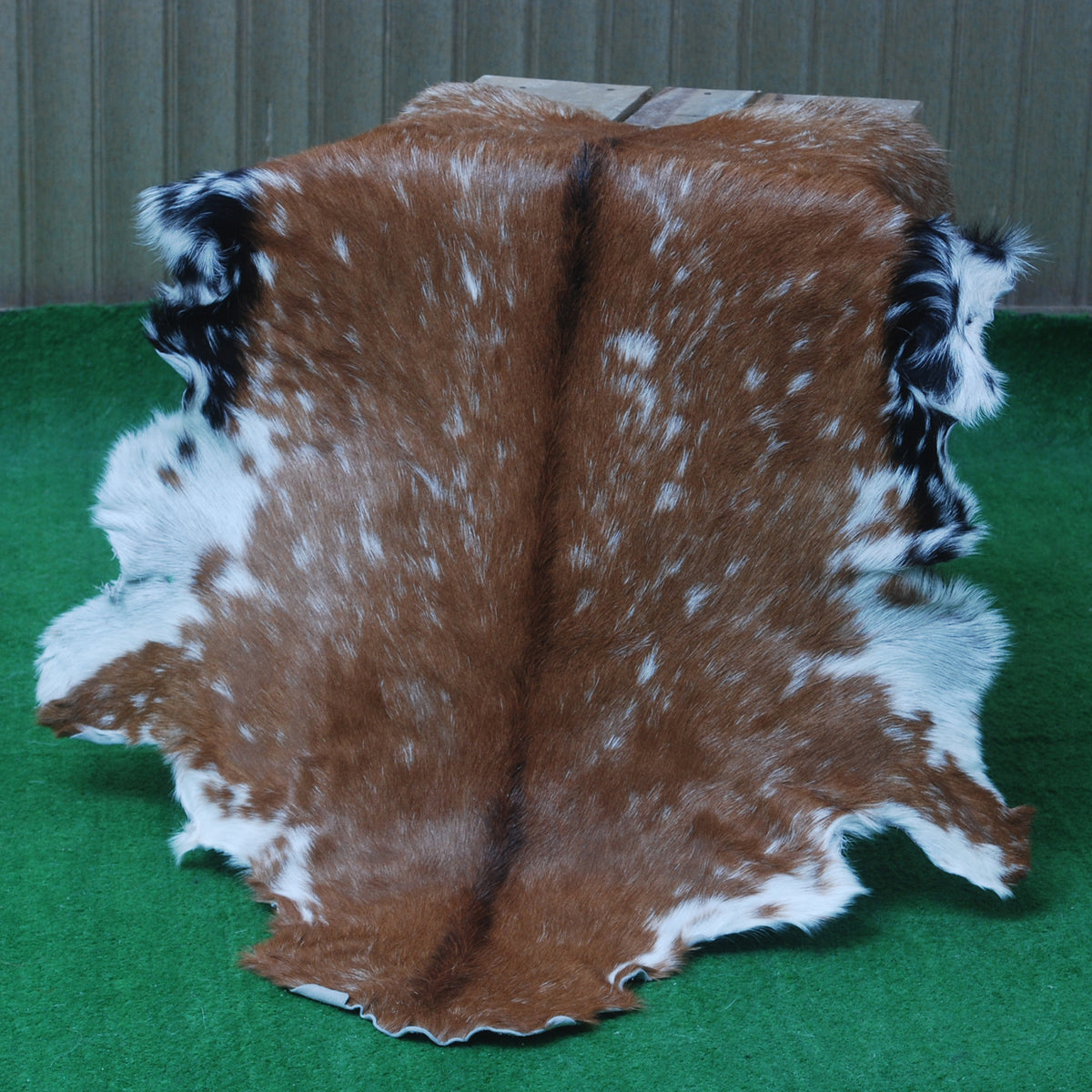 Goat Skin Rug: Tri-Color genuine Goat hide rug