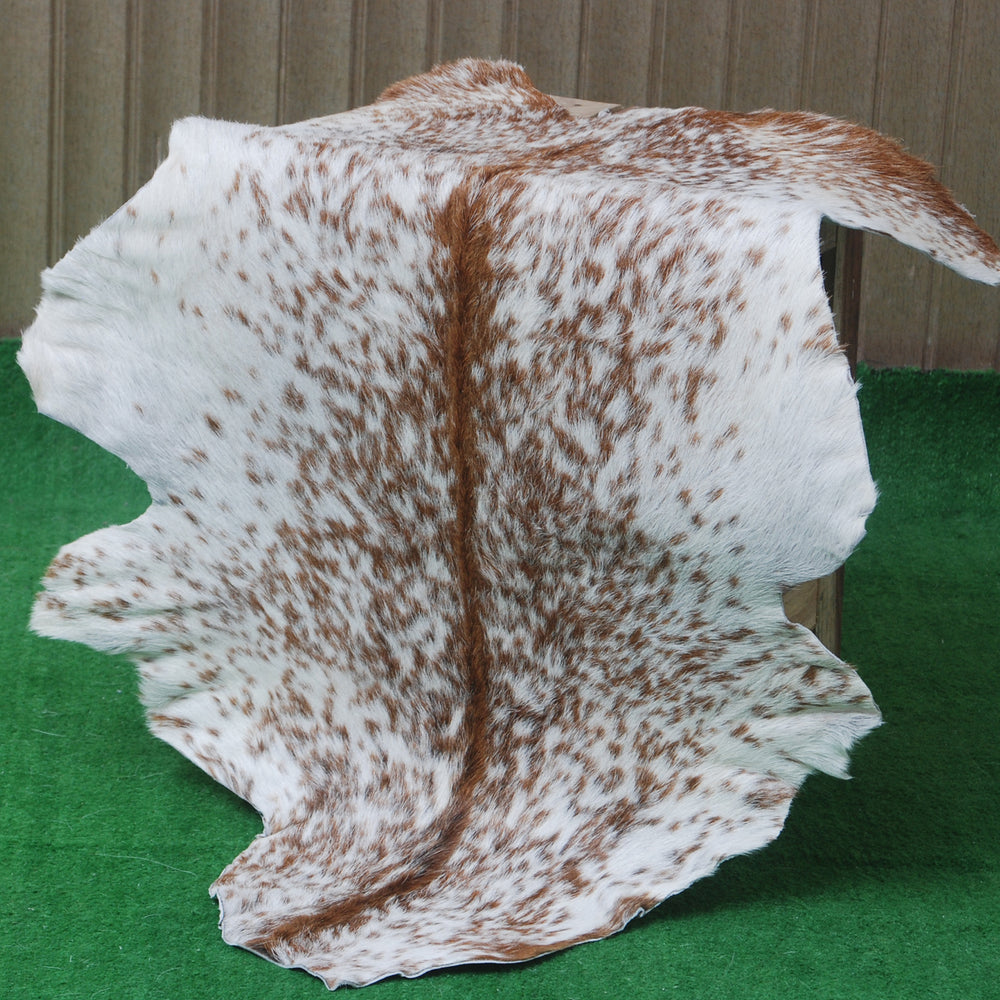 Authentic Hair-On Goat Skin Rug - Brown and White Pattern for Stylish Interiors - Celestial Leather Limited