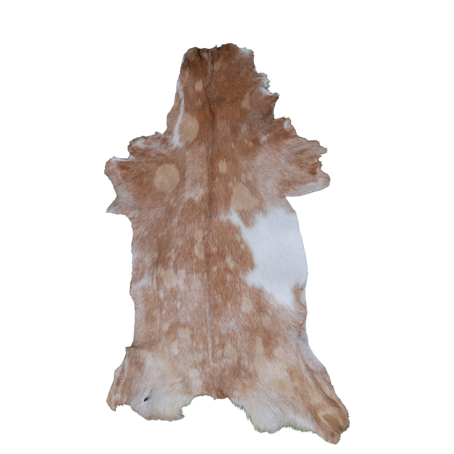 Luxury Brown & White Goat Hide Rug with Natural Variations | Premium Hair-on Goat Skin Rug for Home Décor - Celestial Leather Limited