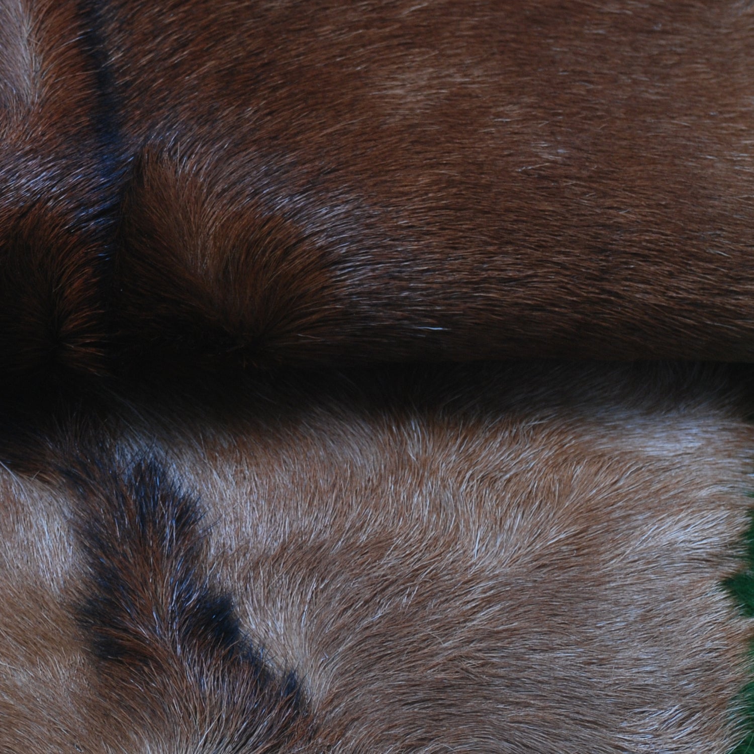 Authentic Dark Brown Goat Hide Rug - Unique Pattern for Modern and Classic Décor - Celestial Leather Limited