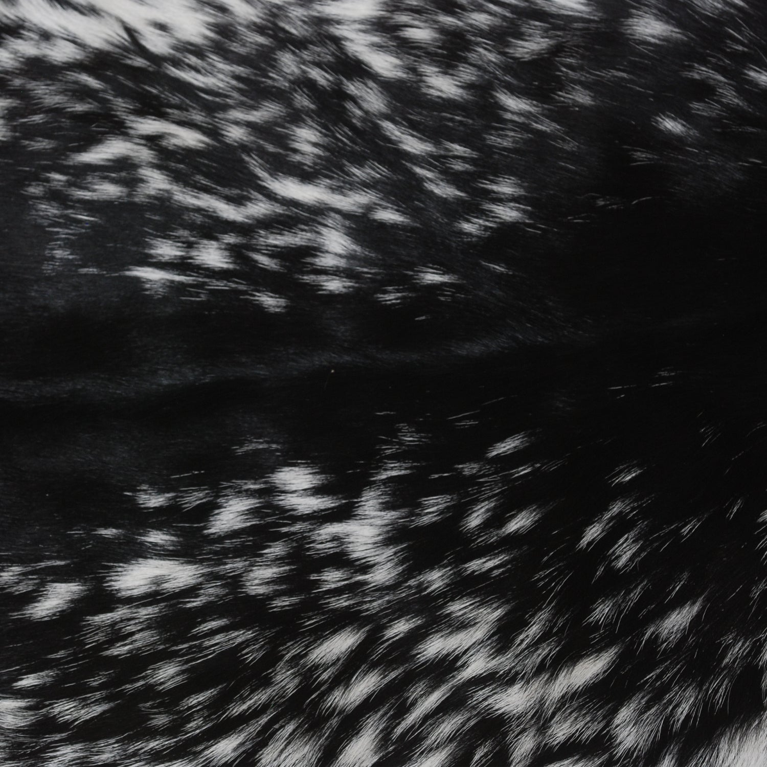 Luxurious Black and White Goat Skin Rug - Natural Hair-On Leather for Home Styling