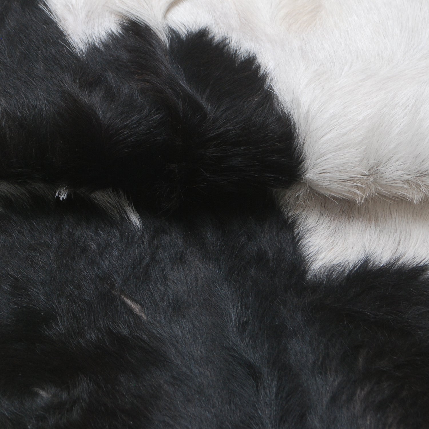 Goat Skin Rug: A Luxurious Addition to Your Home Décor - Celestial Leather Limited