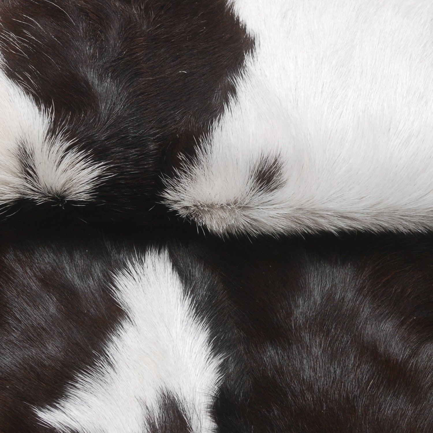 Goat Skin Rug, Handpicked for Quality, Unique Piece for Sale, Fast UK Delivery