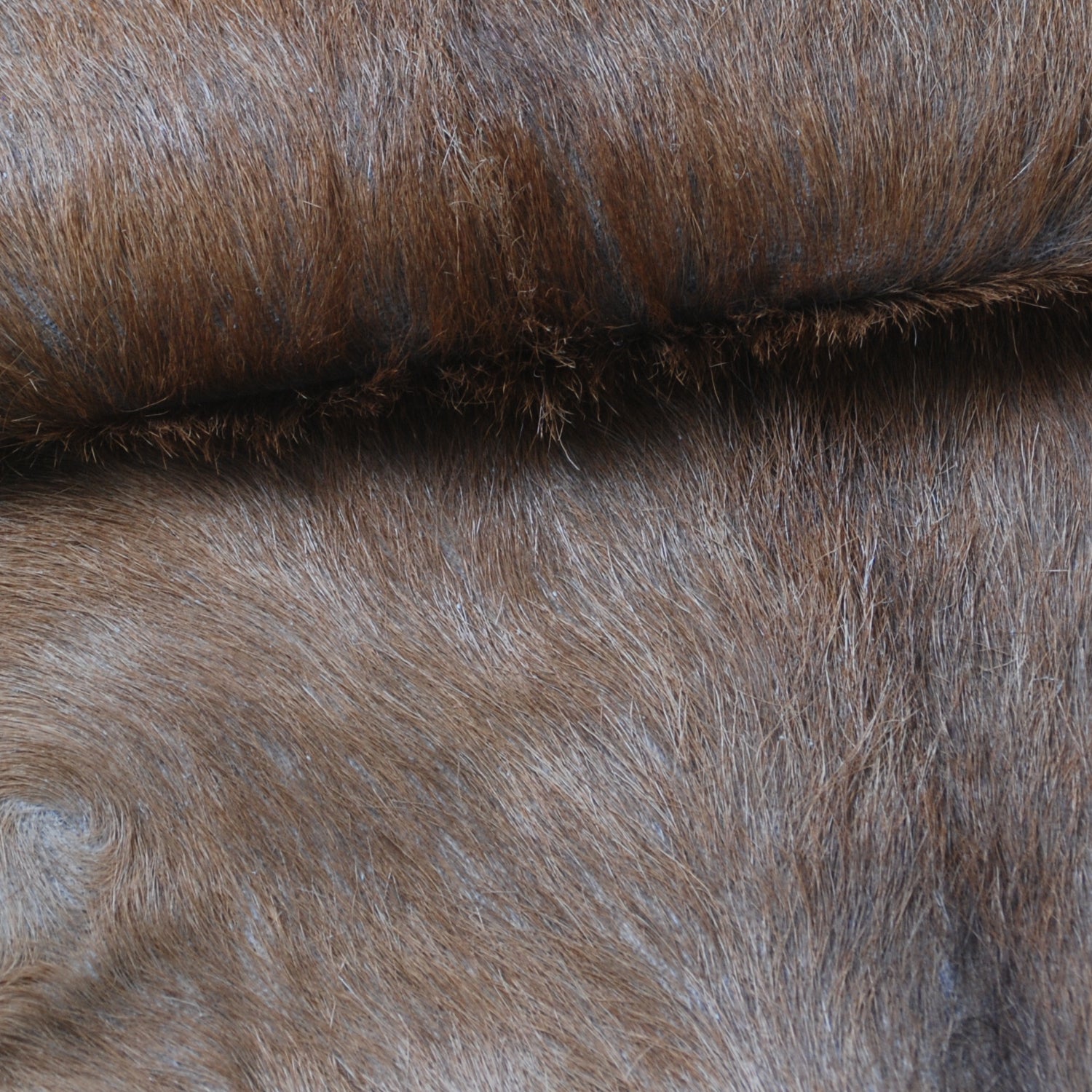 Elegant Brown and White Goat Hide Rug - Perfect Accent for Living Room or Bedroom