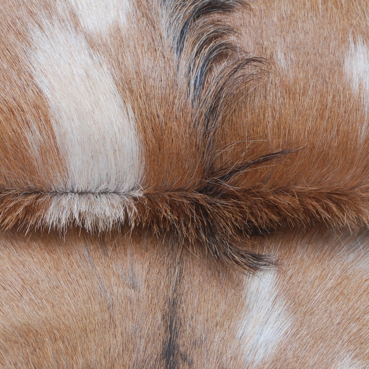 Brown and White Handmade Goat Skin Rug – Classic Elegance for Your Home
