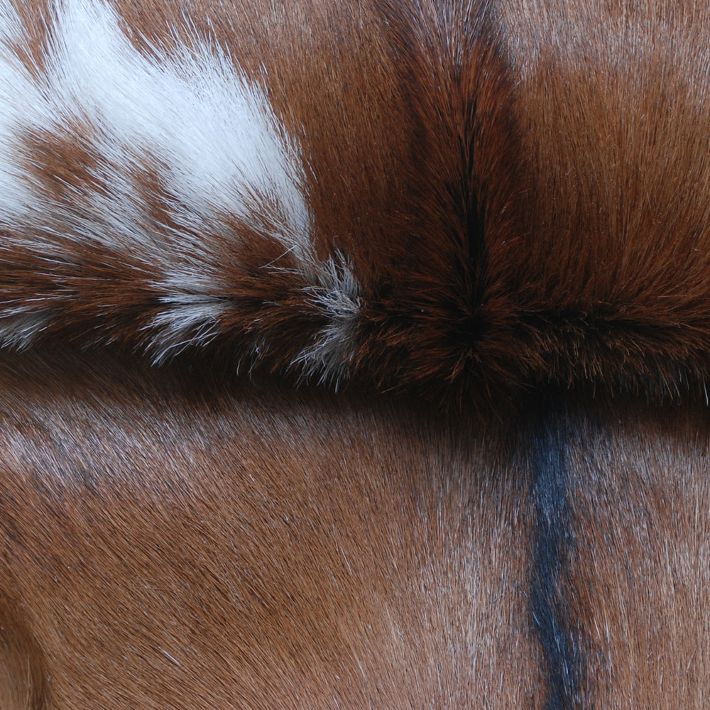 Handcrafted Dark Brown Goat Skin Rug – Authentic Elegance for Your Home - Celestial Leather Limited