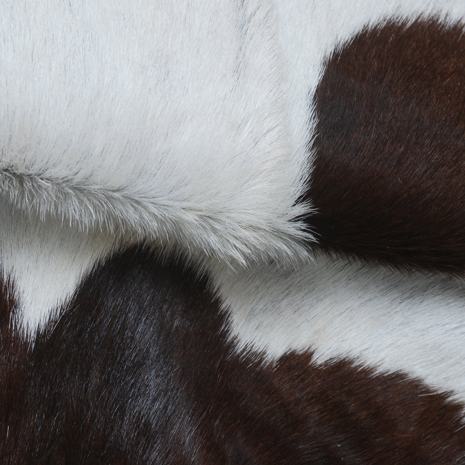 Luxurious Brown and White Genuine Goat Hide Rug - Handcrafted Premium Hair-On Goat Skin Rug with Unique Patterns and Colors - Celestial Leather Limited