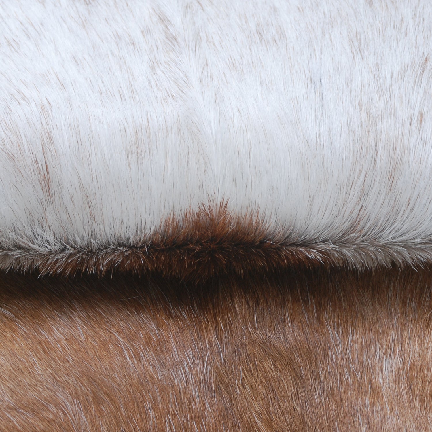 Luxurious Brown and Black Goat Skin Rug - Sustainable Hair-on Goat Hide Rug for Home Décor - Celestial Leather Limited