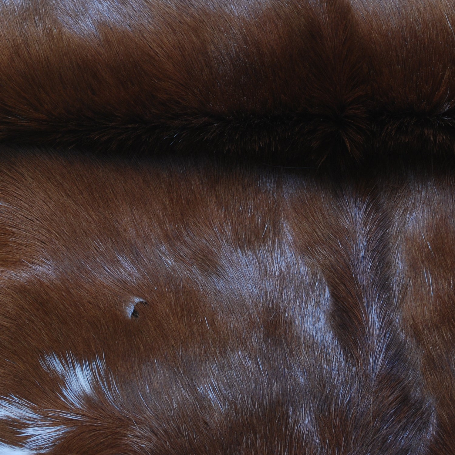 Luxury Brown & White Goat Hide Rug | Premium Hair-On Skin Rug for Home Decor - Celestial Leather Limited