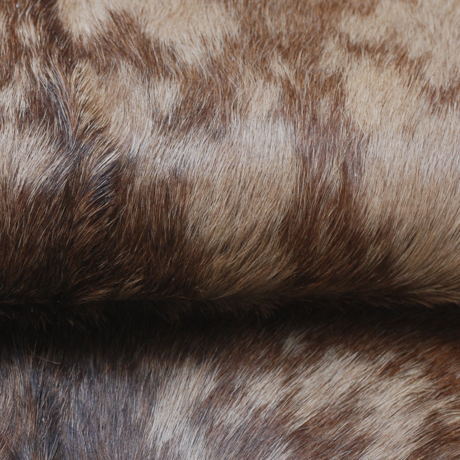 Goat Skin Rug: Tri-Color genuine Goat hide rug