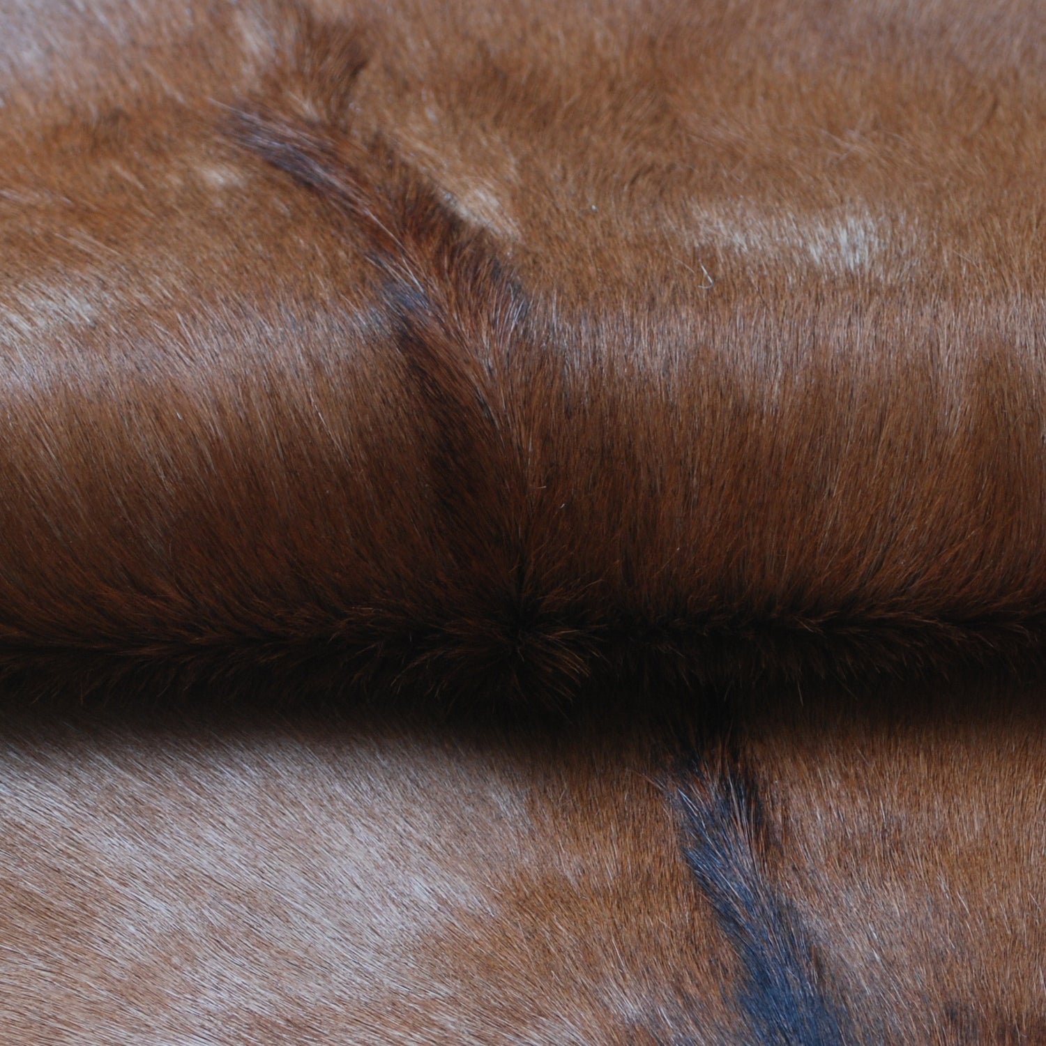 Dark Brown Rug - Soft, Durable, and Eco-Friendly - Handmade Pure Goat Skin Floor Rug - Non-Slip Suede Back