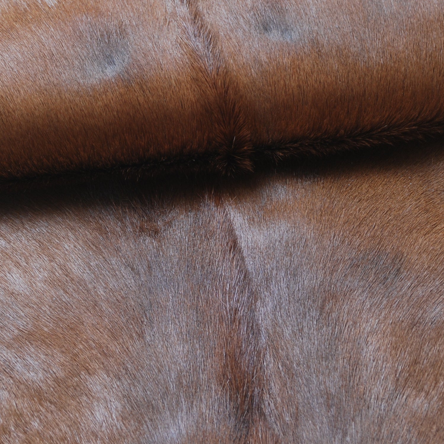 Natural Dark Brown Goat Hide Rug - Perfect for Modern and Rustic Spaces ) - Celestial Leather Limited