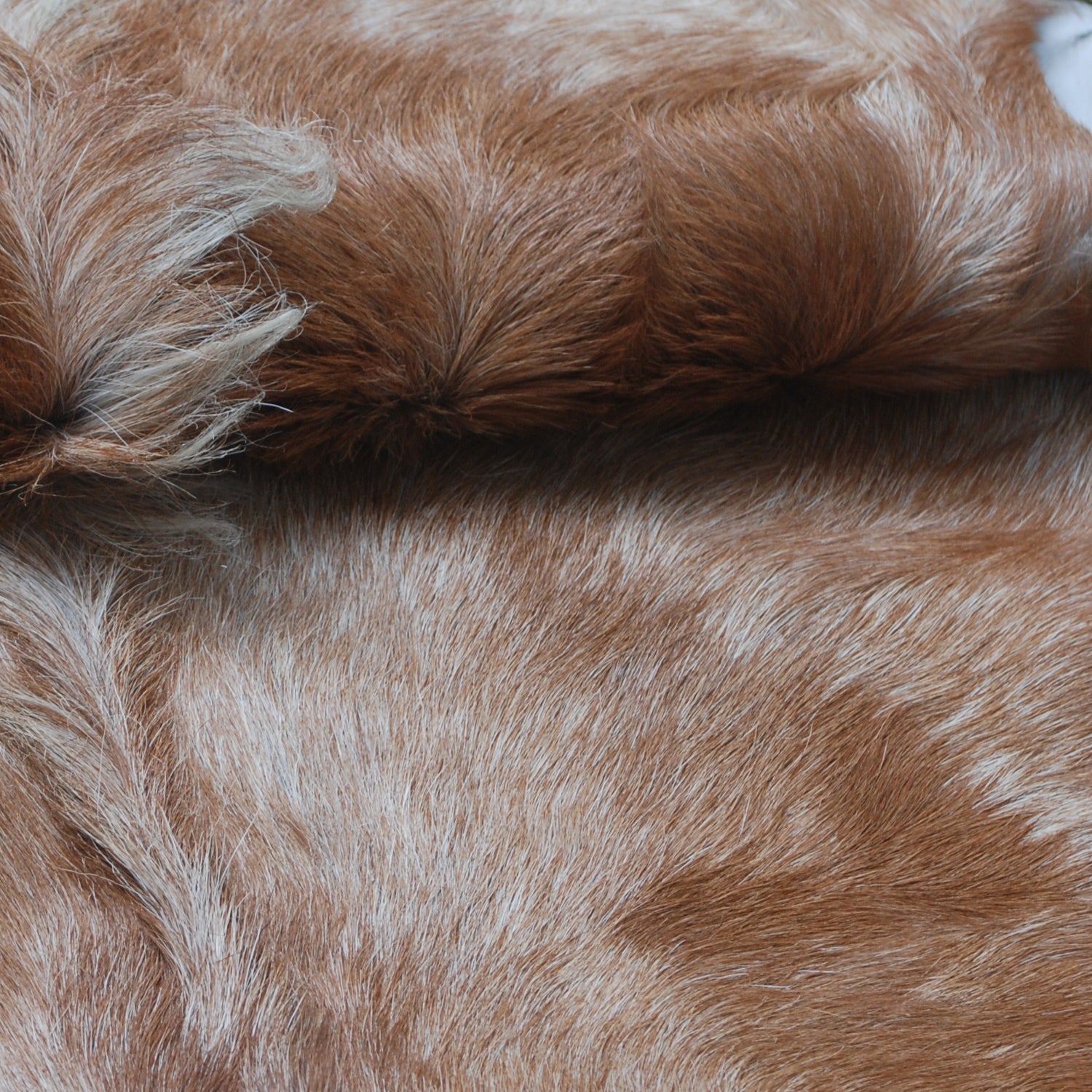 Luxurious Brown and White Natural Goat Skin Rug with Non-Slip Suede Back - Handcrafted Premium Hair-On Goat Hide Rug for Home Decor - Celestial Leather Limited