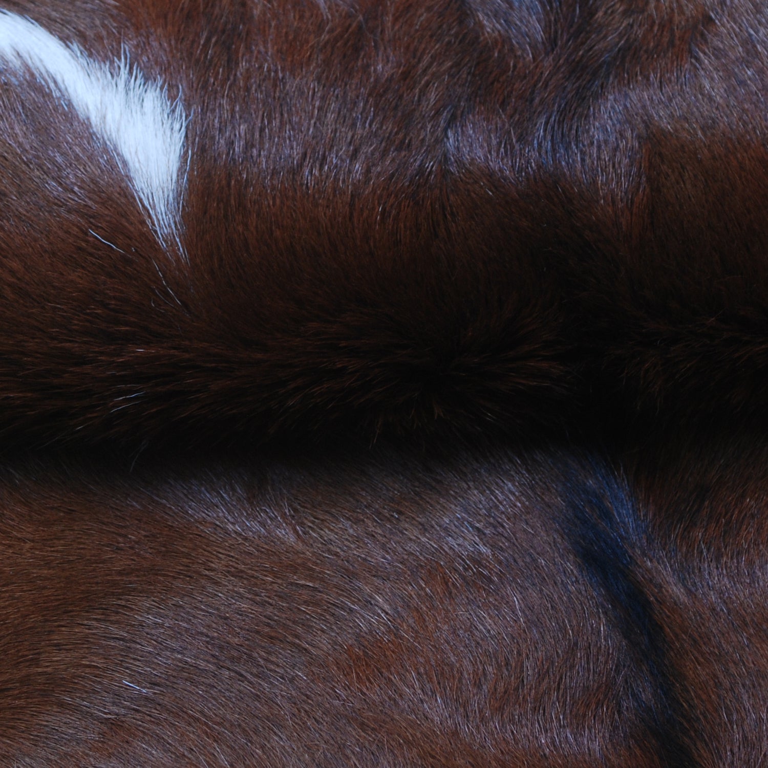 Decorative Dark Brown Goat Skin Rug - Luxurious Touch for Living Spaces